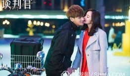 在线观看谈判官,职场精英的智慧对决与情感纠葛